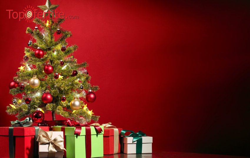 Коледа във Вилно селище Ягода и Малина, Боровец! 1 или 2 нощувки в луксозни вили на цени от 259 лв. 