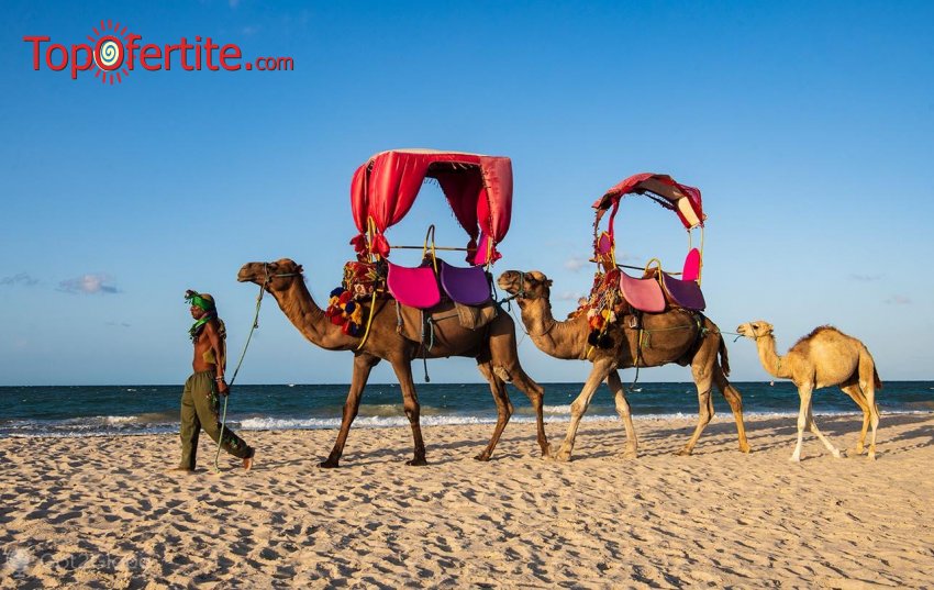 Почивка в Тунис, о-в Джерба! 7 нощувки в Hari Club Beach Resort Djerba 4* на база All Inclusive + самолетен билет и трансфер от 801лв на човек