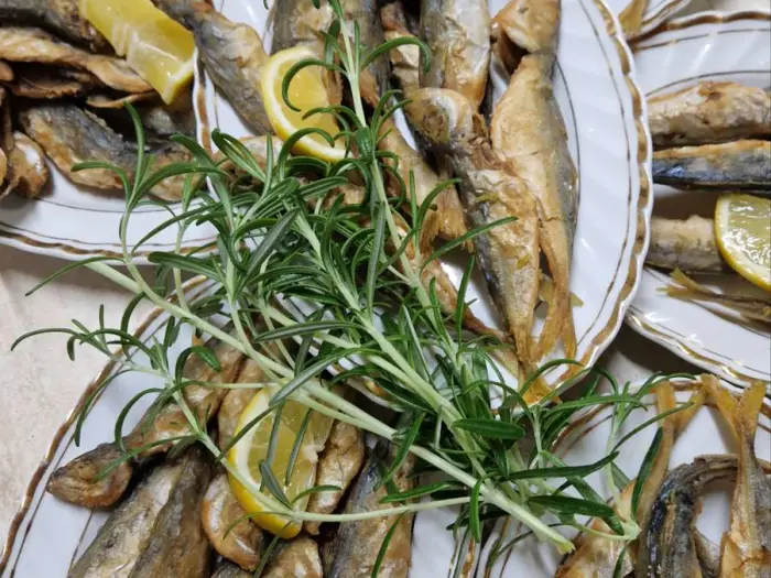 Къща за гости Демира — снимка 10
