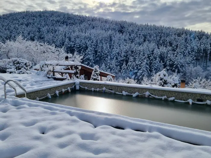 Панорама Хаус — снимка 13