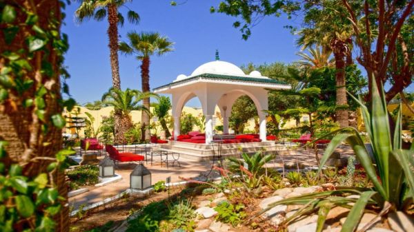 Samira Club Standard